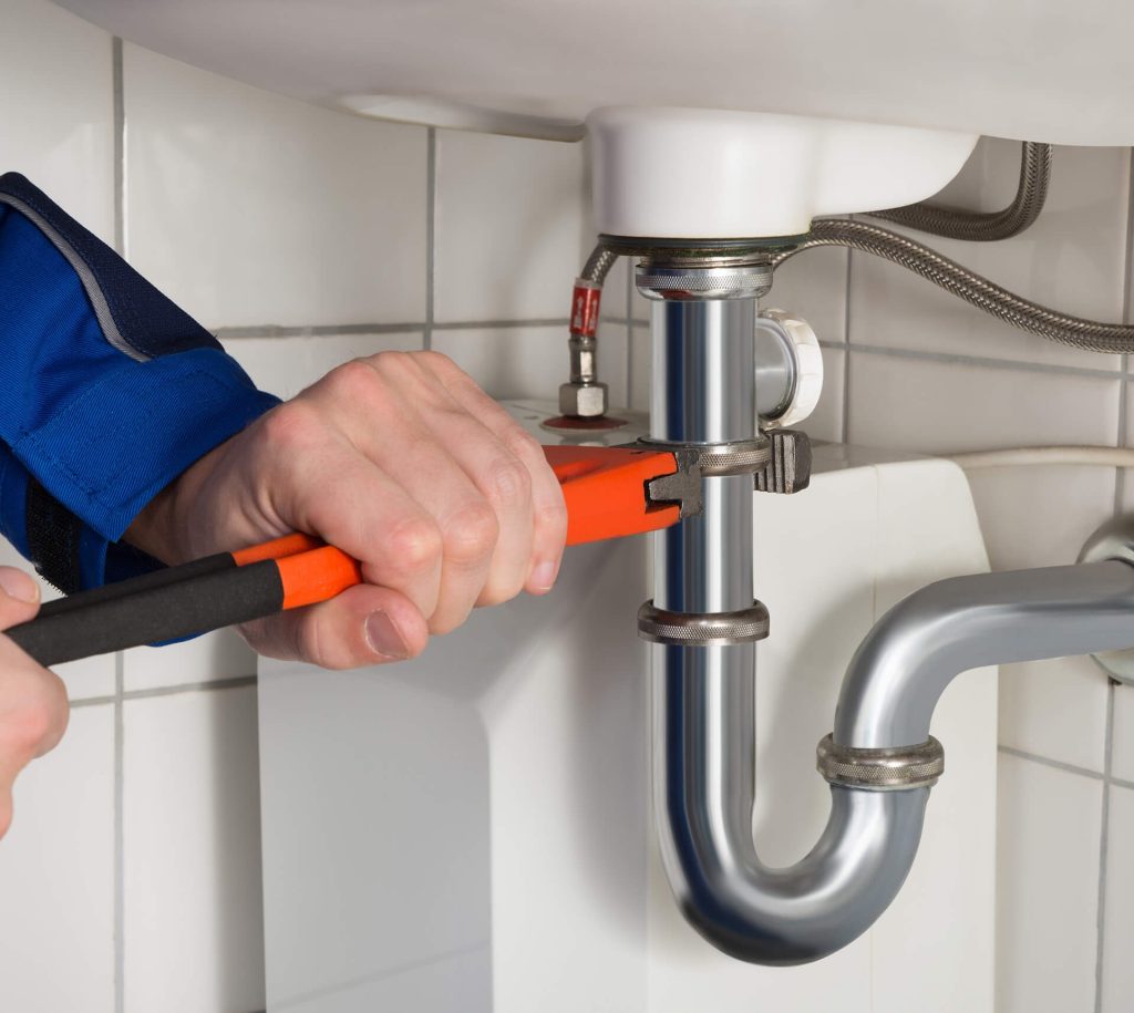 imgi_32_img-31-copyright